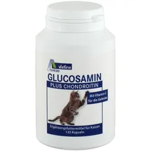 Avitale Glucosamin+Chondroitin für Katzen 120 St.