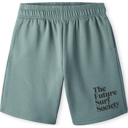 O'Neill Future Surf Short north atlantic (15047) 152