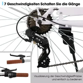 HH HILAND HILAND 26 Zoll Cruiser Bike für Männer und Frauen, Step-Through Rahmen Cityräder für Erwachsene mit Gepäckträger und Korb, Fender - Lila