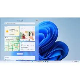 Microsoft Windows 11 Home USB-Stick DE