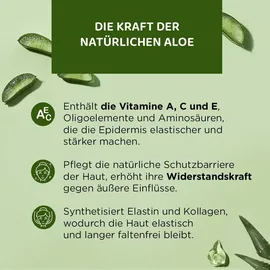 Eveline Cosmetics Aloe Vera Gel 250 ml