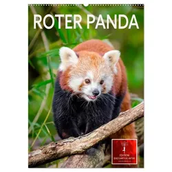 Roter Panda (Wandkalender 2025 DIN A2 hoch), CALVENDO Monatskalender