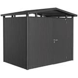 P2 2,57 x 1,77 m dunkelgrau-metallic Einzeltür