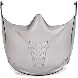 Schwarz PC Visier für Universal Goggle