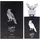 Lattafa Shaheen Silver Eau de Parfum 100 ml