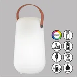 easy! by FHL Collgar Akku Tischleuchte, LED mit RGBW, 850282,