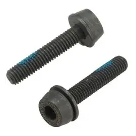 CAMPAGNOLO Schrauben für Flat Mount Bremssattel hinten 24 mm
