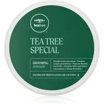 Paul Mitchell Tea Tree Special Grooming Pomade starker Halt 85 g