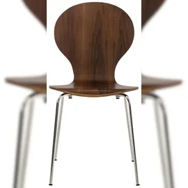 CLP Diego 2 St. walnuss