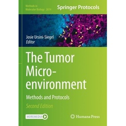 The Tumor Microenvironment, Kartoniert (TB)