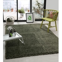 the carpet Green Velvet Wohnzimmer Öko Teppich, Hochflor besteht aus 100% recyceltem Polyester, Langflor, Luxuriöse Felloptik, Kuschelig Weich, Grün, 120 x 170 cm