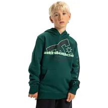 DC Shoes Kapuzensweatshirt DC SHOES "Slathletic", Jungen, Gr. 14(155-164cm), rosa (ponderosa pine), 55% Baumwolle, 25% Baumwolle, 20% Polyester, Sweatshirts