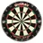 WINMAU Pro SFB Sisal inkl. Brass Darts Set