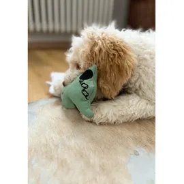 Aumüller Hundespielzeug Geist mint