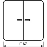 Jung Steuertaste 2-fach CD 1702 LG