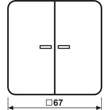 Jung Steuertaste 2-fach CD 1702 LG