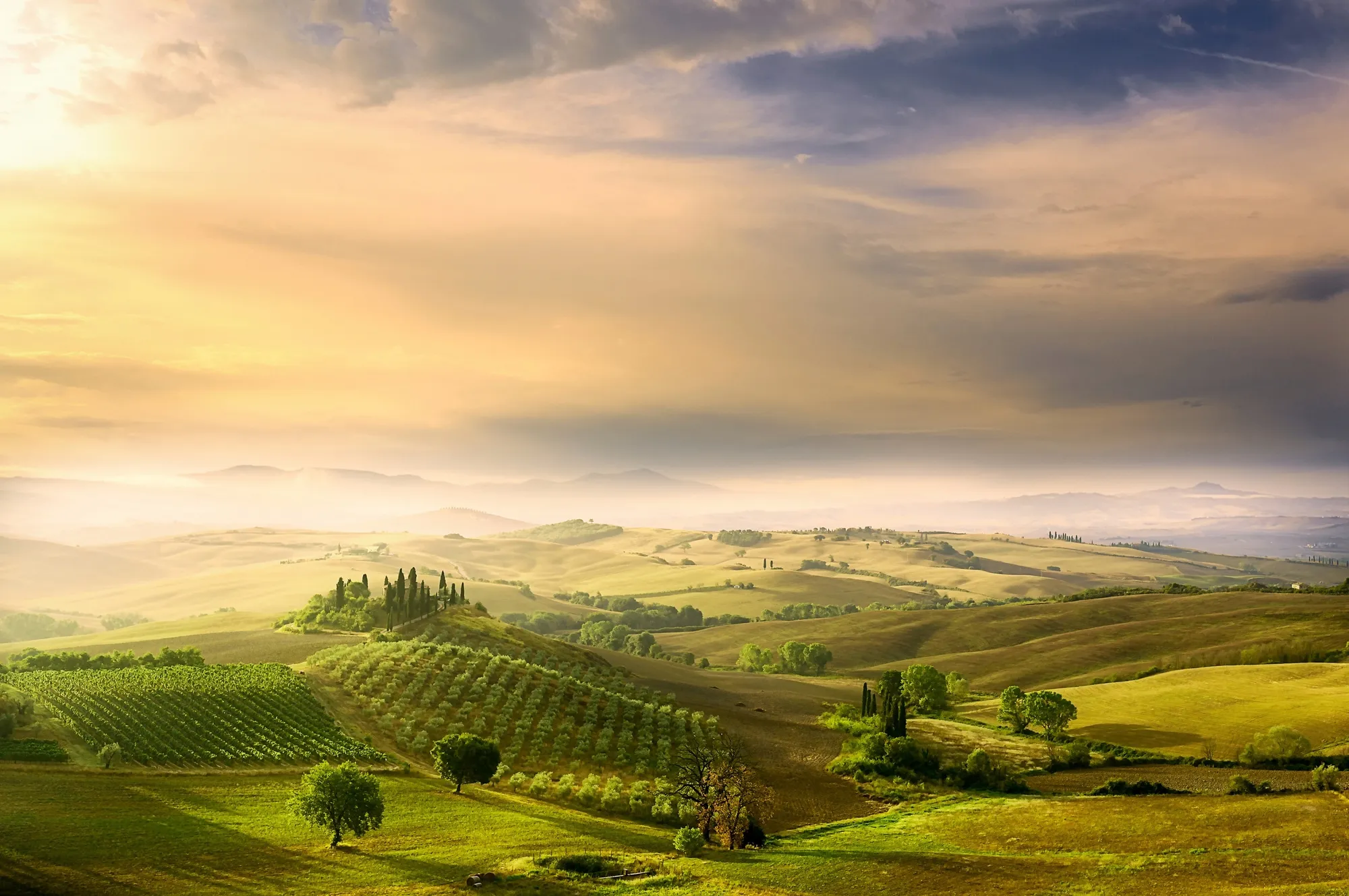 Fototapete PAPERMOON "Photo-Art ARNAUD BRATKOVIC, PODERE BELVEDERE'S SUNRISE", bunt, B:4,50m L:2,80m, Vlies, Tapeten