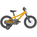 Scott Roxter 14 Grün Modell 2025