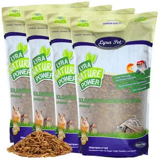 Lyra Pet® | 10 kg Soldatenfliegenlarven getrocknet | Black Soldier Fly | Hermetia Illucens | Wie Mehlwürmer | Reich an Kalzium & Proteinen | Energiereiches Futter für Vögel, Fische, Nager & Reptilien