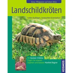 Landschildkröten