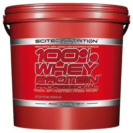 Scitec Nutrition 100% Whey Protein Professional Zitrone-Käsekuchen 5000 g