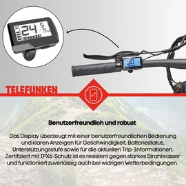 Telefunken MT922 29 Zoll RH 54 cm schwarz