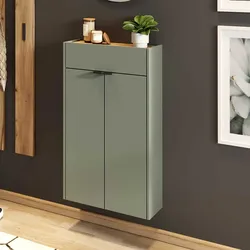 Wand Dielenschrank modern in Graugrün Wildeichefarben