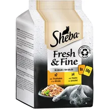 Sheba Fresh & Fine Gelee Huhn und Truthahn 36 x 50 g