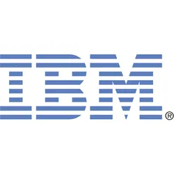 IBM 1Gb iSCSI 4 Port Daughter Card - Netzwerkadapter