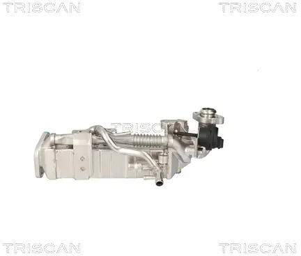TRISCAN Kühler, Abgasrückführung 881311024 für BMW