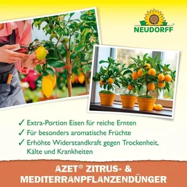 NEUDORFF Zitrus- & Mediterran PflanzenDünger 1 l