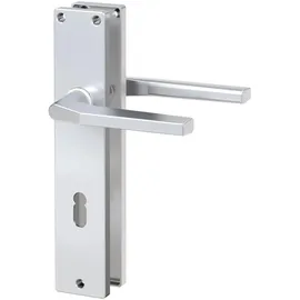BASI - Langschild-Garnitur - ZB 4100 - Alu F1 - Eckig - Lochung Buntbart - 7420-1101