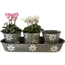 Online-Fuchs Kräutertopf Ø 10 x 9 cm Silber