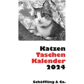 Schöffling Katzen Taschenkalender 2024 A5