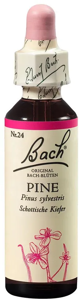 Bach®-Blüte Pine (Schottische Kiefer)