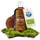 BEAUVITAL Bio Reishi Extrakt flüssig 100 ml
