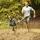 I-DOG X-Back Hundegeschirr Blau L