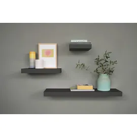 DOLLE Wandregal 115 x 25 x 5 cm Schwarz