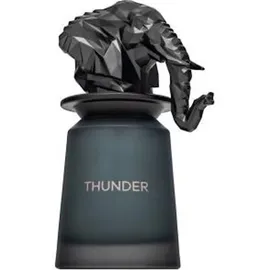 French Avenue Thunder Eau de Parfum 100 ml