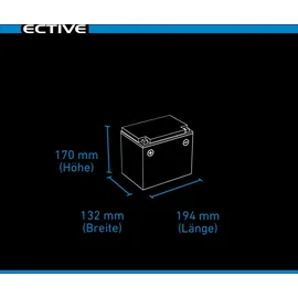 Ective DC 38S AGM Deep Cycle Versorgungsbatterie 13,2 x 17 cm