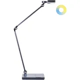 Beliani Schreibtischlampe schwarz 73 cm verstellbar LACERTA