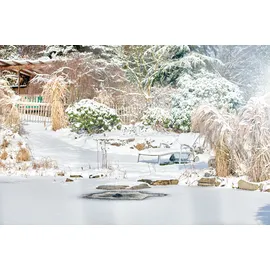 OASE Eisfreihalter IceFree 4 Seasons