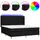 vidaXL Boxspringbett 180 x 200 cm Schwarz