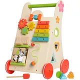 EverEarth Activity Walker
