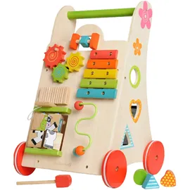 EverEarth Activity Walker