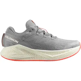 Salomon Aero Glide 3 Herren Grau / Silber 44