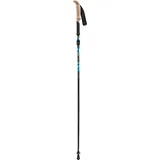 Swix Sonic X-trail, Carbon