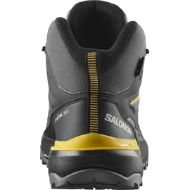 Salomon X Ultra 360 Mid GTX Herren Castlerock/Black/Spicy Mustard 47 1/3
