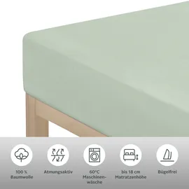 OTTO home Spannbettlaken Physalis Jersey 120 x 200 cm seegrün