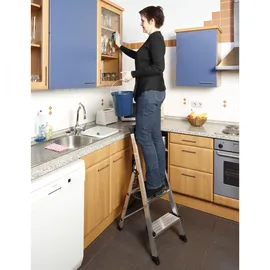 Krause Safepro 2 Stufen (127204)